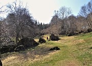 71 La bella radfura prativa dei Foppi